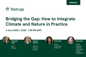 Bridging the Gap