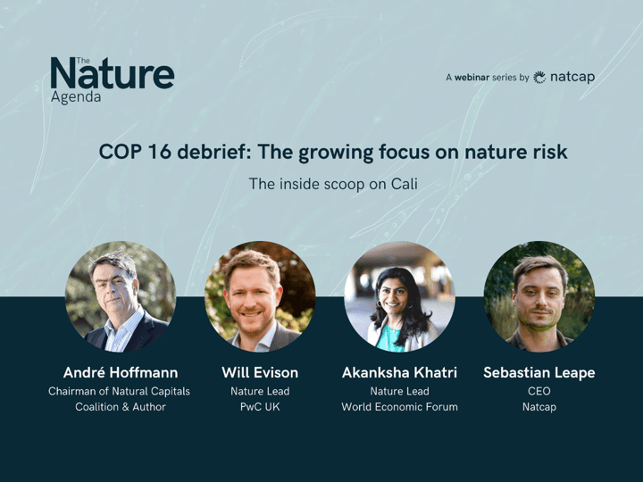 COP 16 Debrief