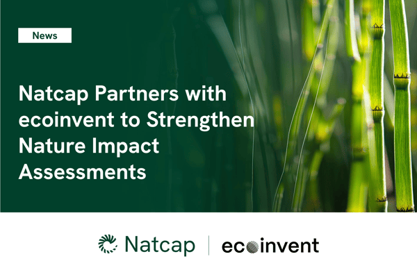 Natcap x ecoinvent