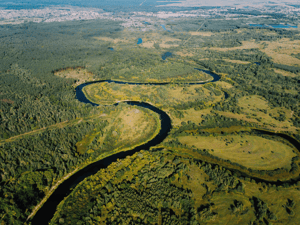 Biodiversity Metrics