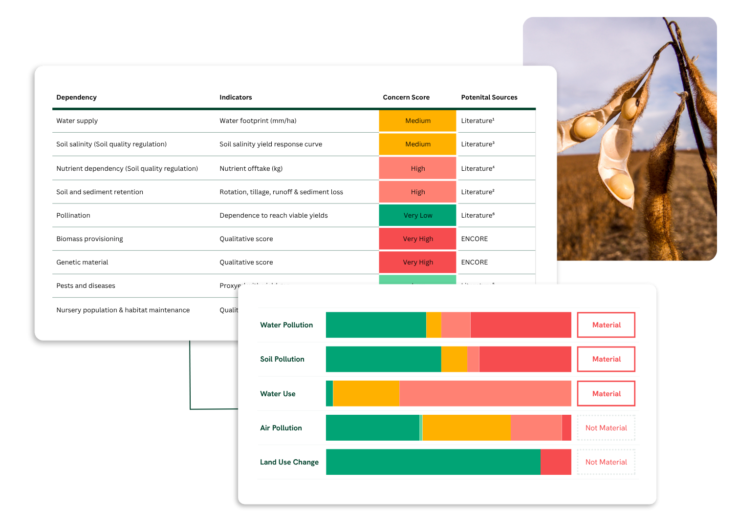 NatCap Infographics 2025 07 (1)