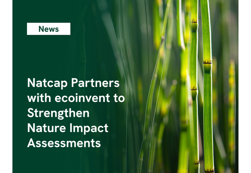 Natcap x ecoinvent Newsroom