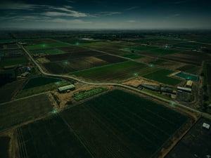Portfolio Homepage