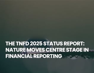 TNFD 2025 (1)