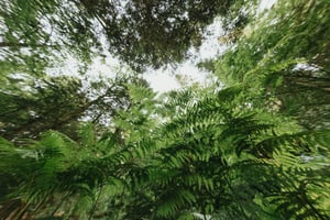 annie-spratt-4G_5cp7d6wk-unsplash