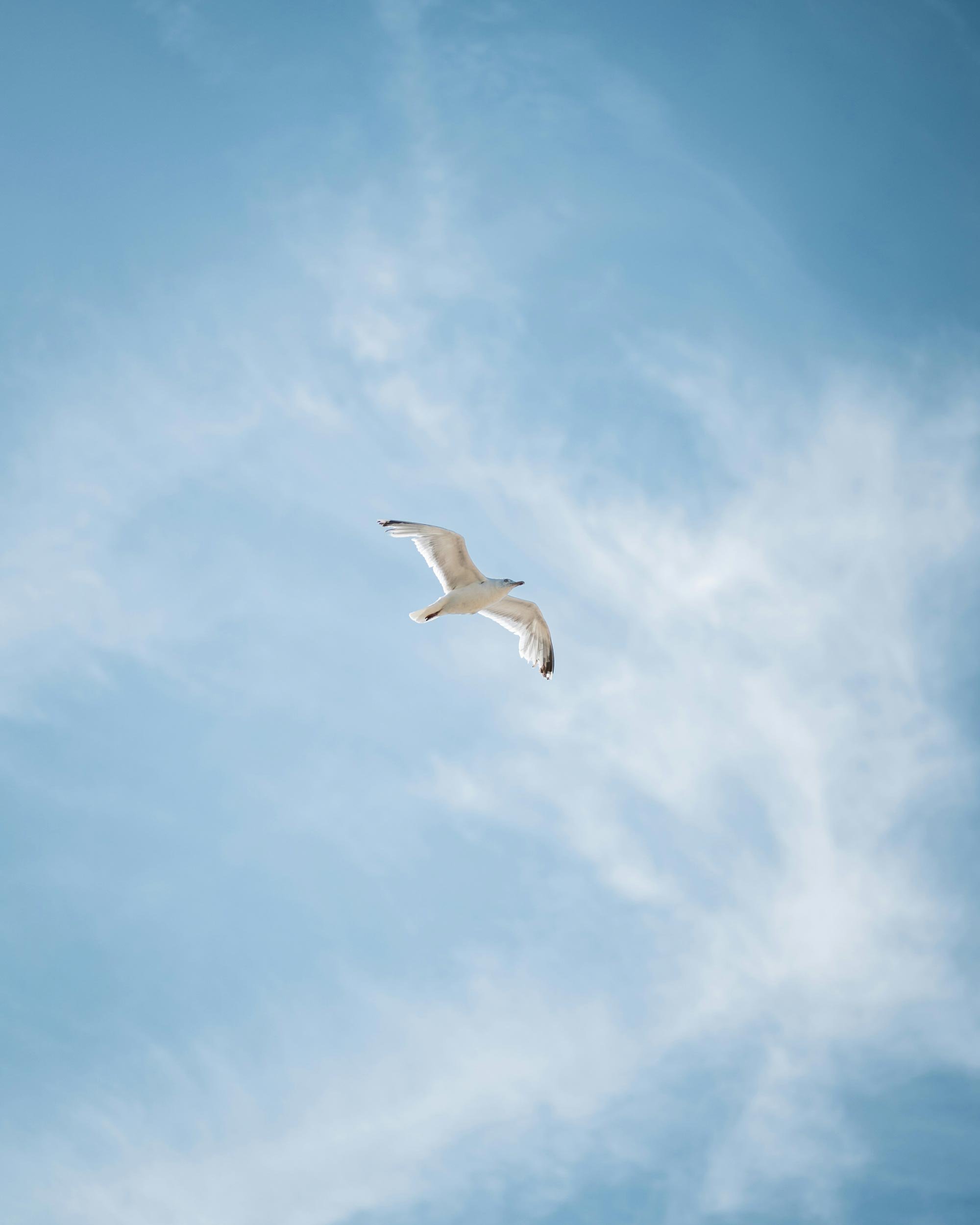 mira-alex-xFoNTV4JhOQ-unsplash-(1)