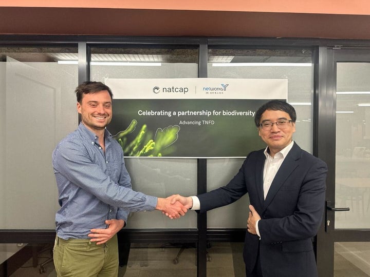 networks-Y Co. Ltd. and Natcap
