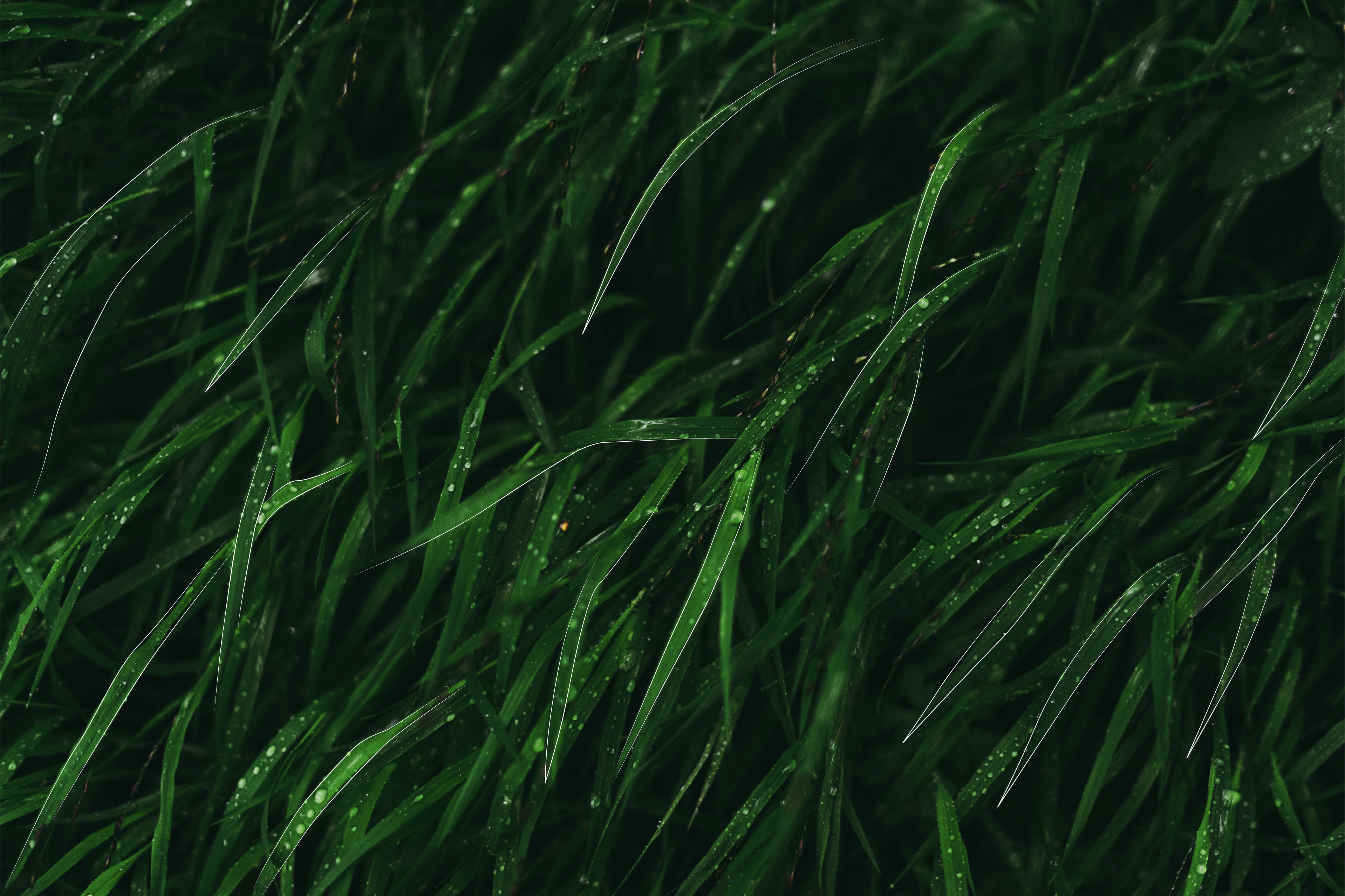 Measuring Nature Impacts and Transition Risks: A Practical Framework