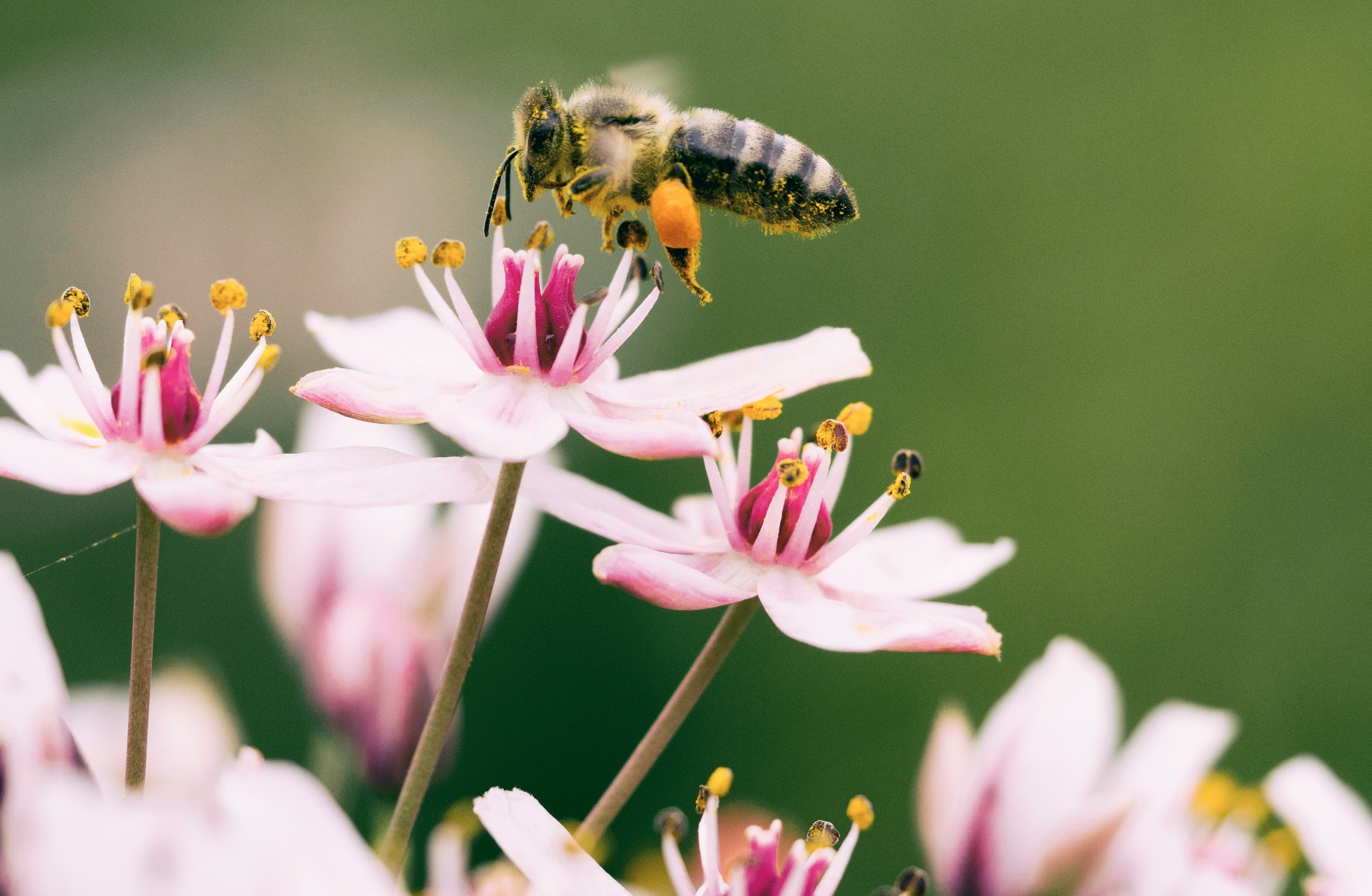 Nature Reporting & Sustainability in 2026: From Early Movers to Market Standard