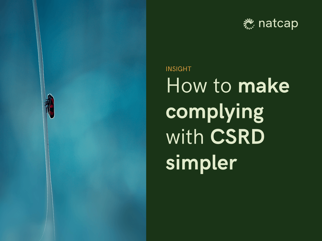 How to Make Complying with CSRD Simpler