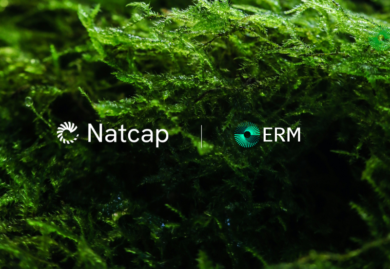ERM x Natcap Newsroom