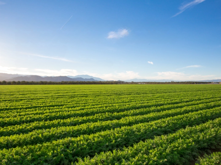 Nature-Related Reporting in the Food and Agriculture Industry: Finding Common Ground Across Frameworks