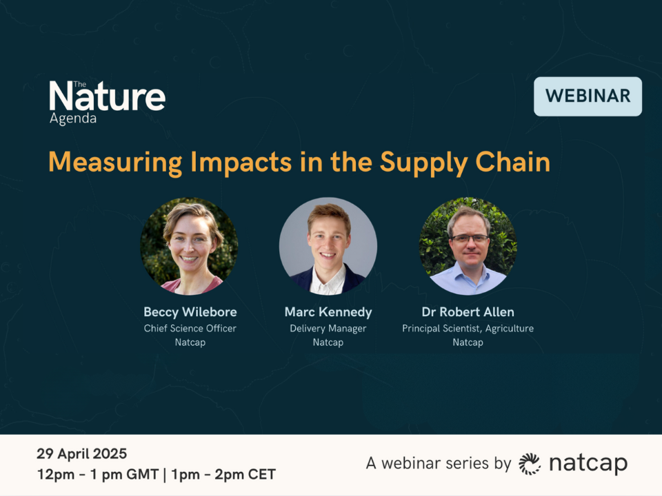 Impacts in the Supply Chain