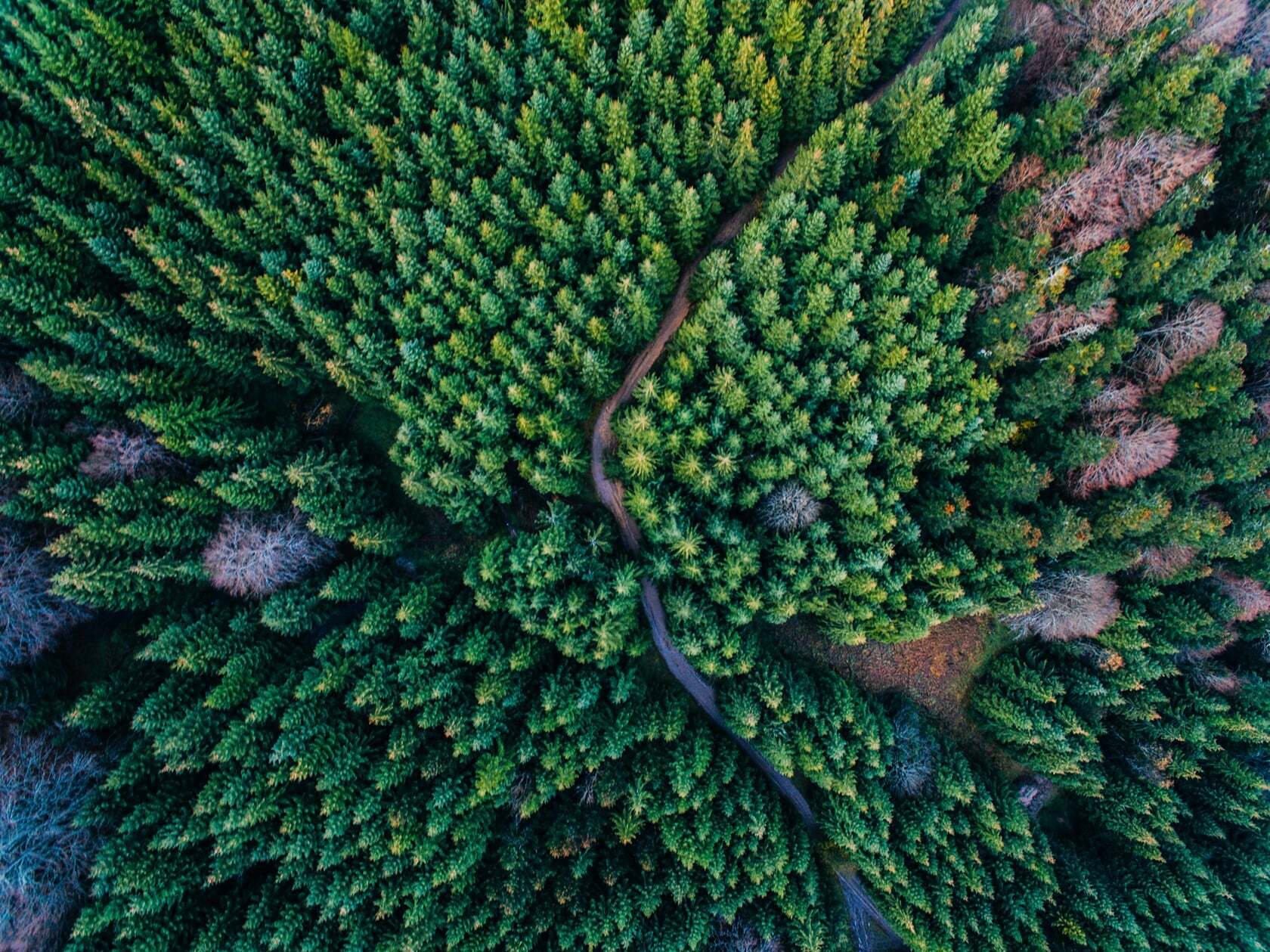 Why Nature Belongs on the Business Agenda