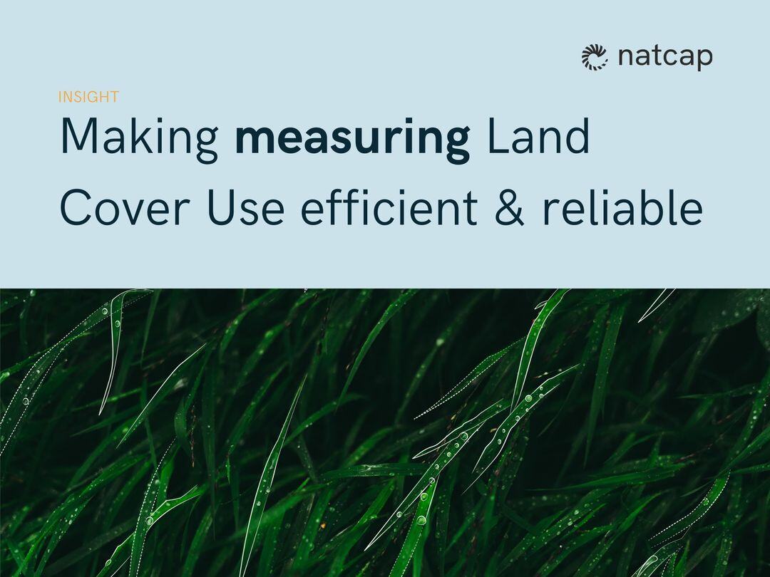 Measuring What’s on the Ground