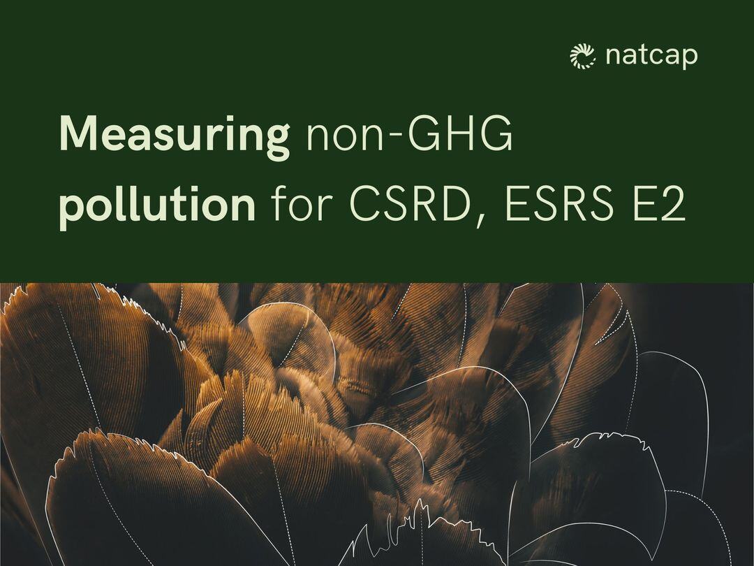 How Natcap Measures Pollution for CSRD's ESRS E2