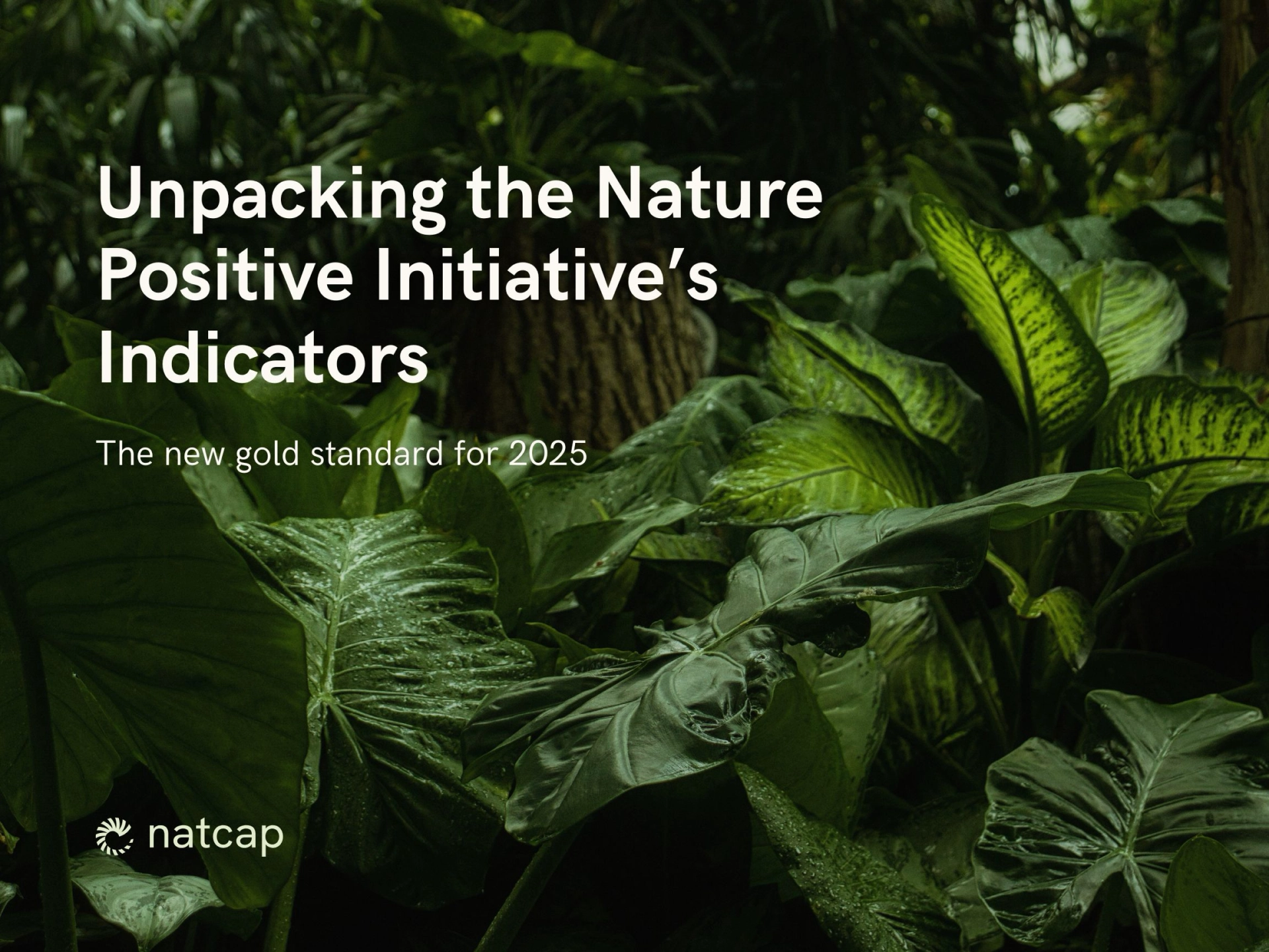 Unpacking the Nature Positive Initiative’s Indicators: The New Gold Standard