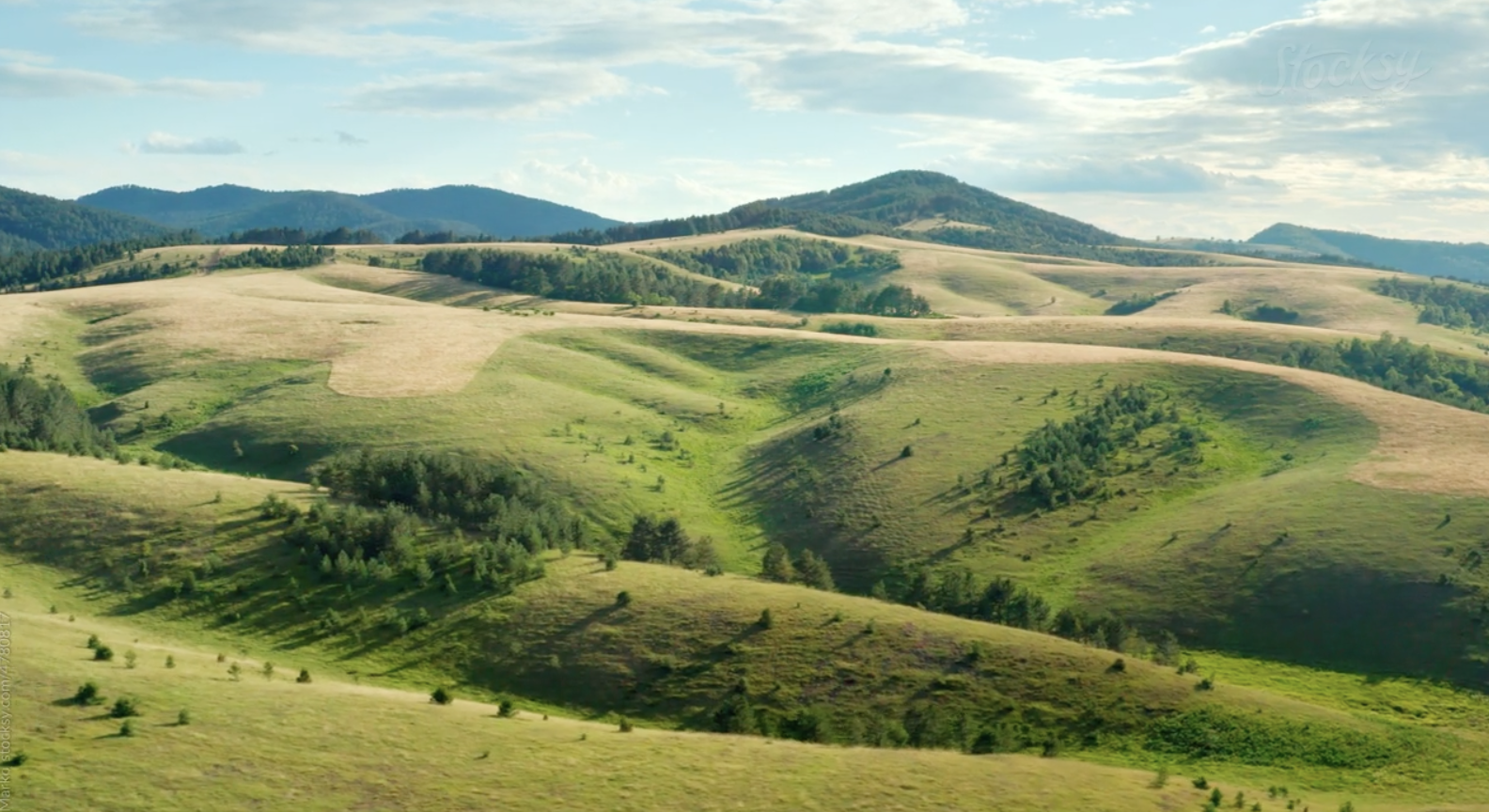 Simplifying Nature Data: How Businesses Can Navigate Complexity and Drive Action