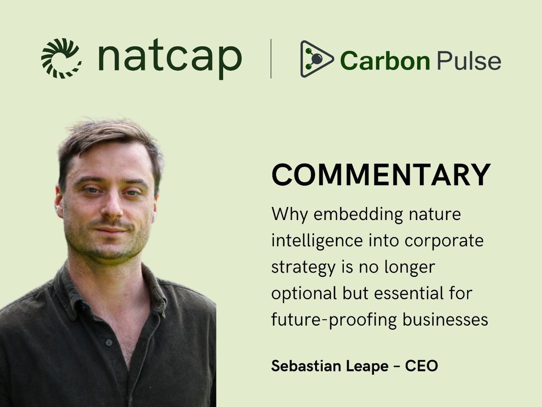 Embracing Nature in Corporate Strategy