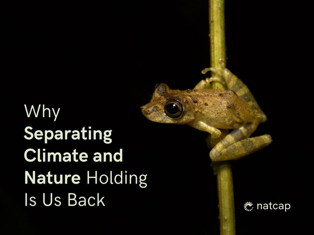 Why Separating Climate and Nature Holding Is Us Back