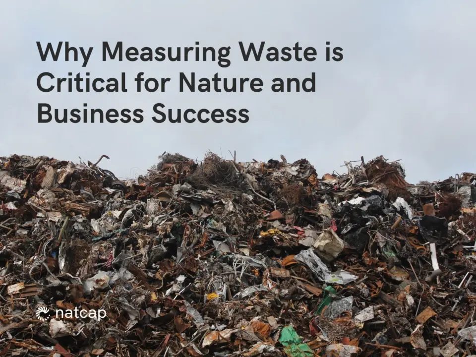 Why Measuring Waste is Critical for Nature and Business Success