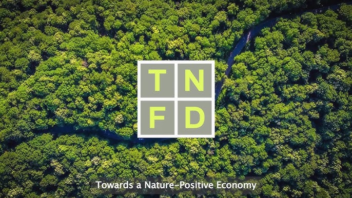 What is TNFD?