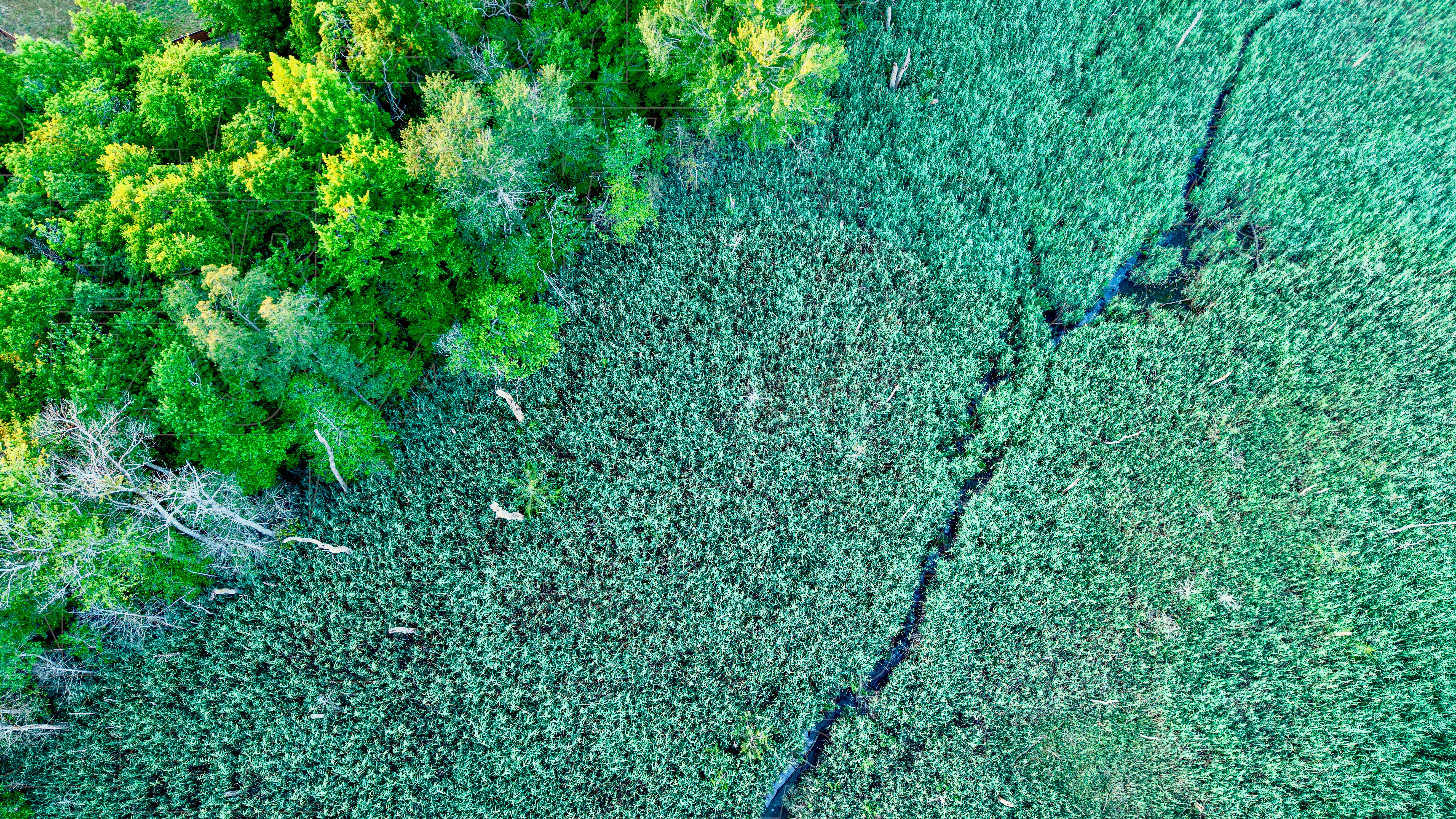 Why Banks Should Care About Nature Risk in their Loan Books