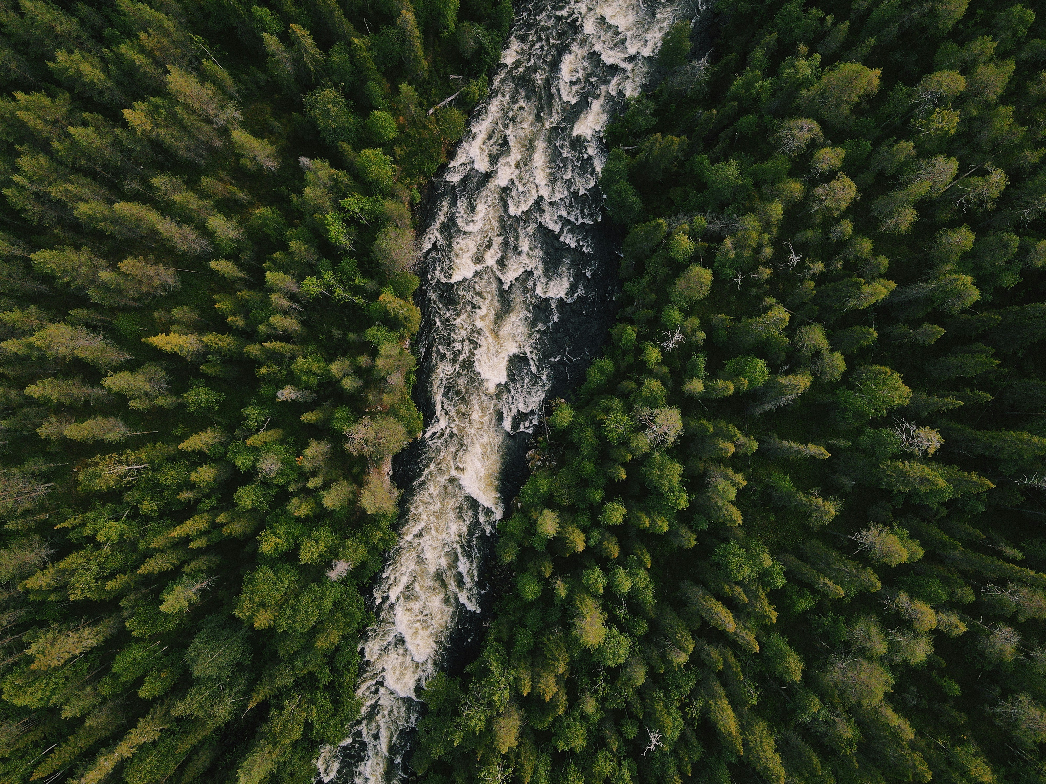The State of the Corporate Nature Landscape 2025