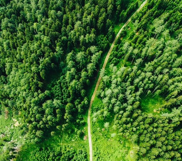 Nature Reporting & Sustainability in 2026: From Early Movers to Market Standard