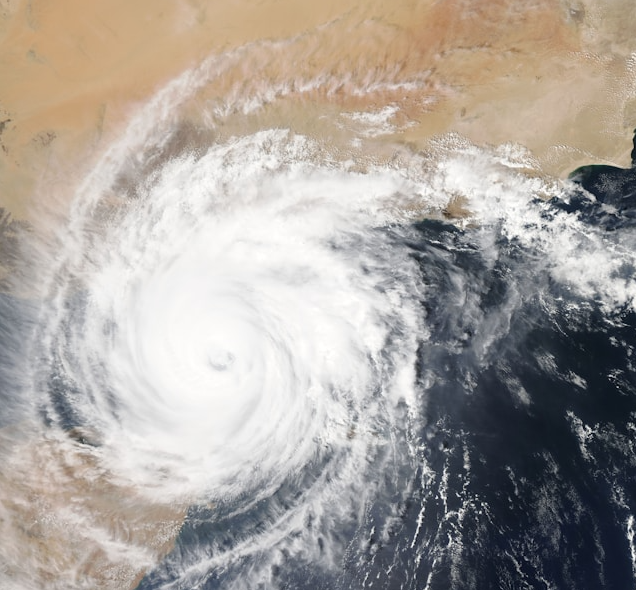 Understanding Physical Nature Risks for Effective Supply Chain Risk Management