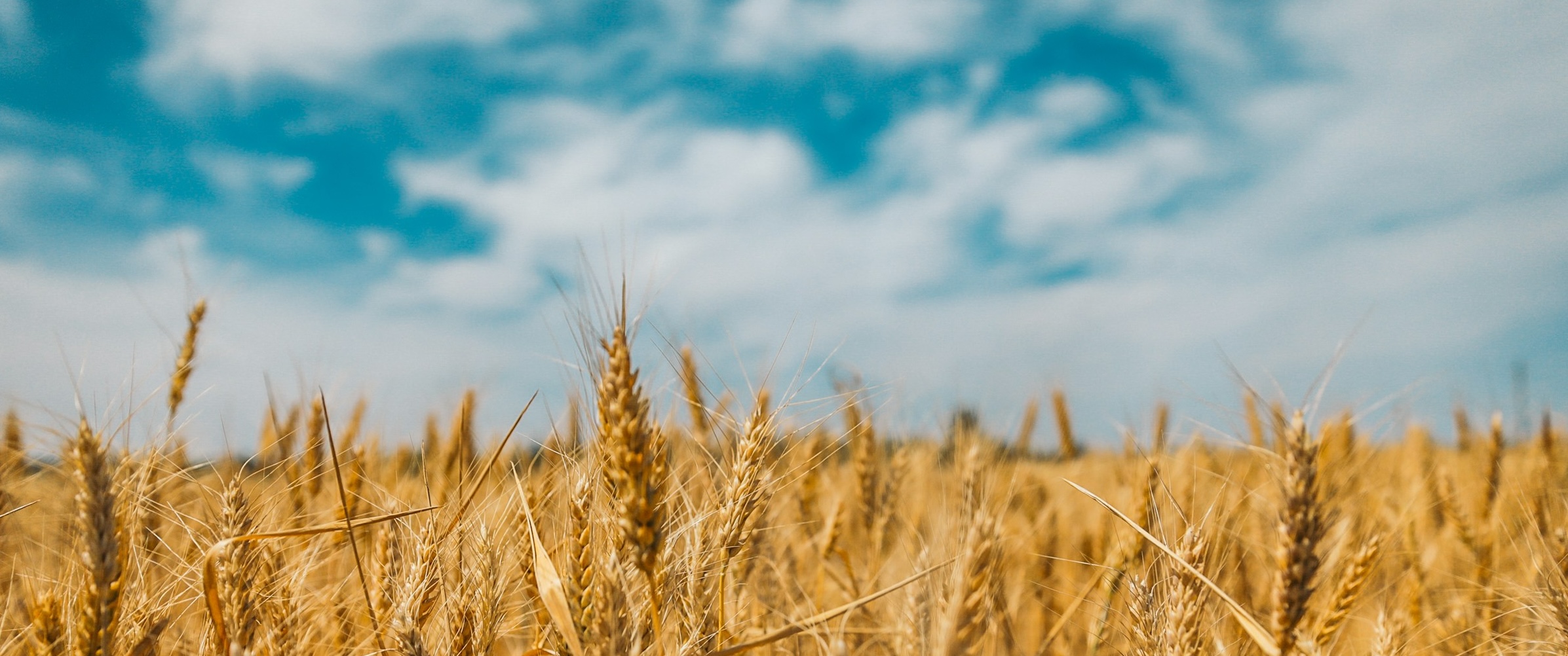 Nature Risk is a Supply Chain Risk