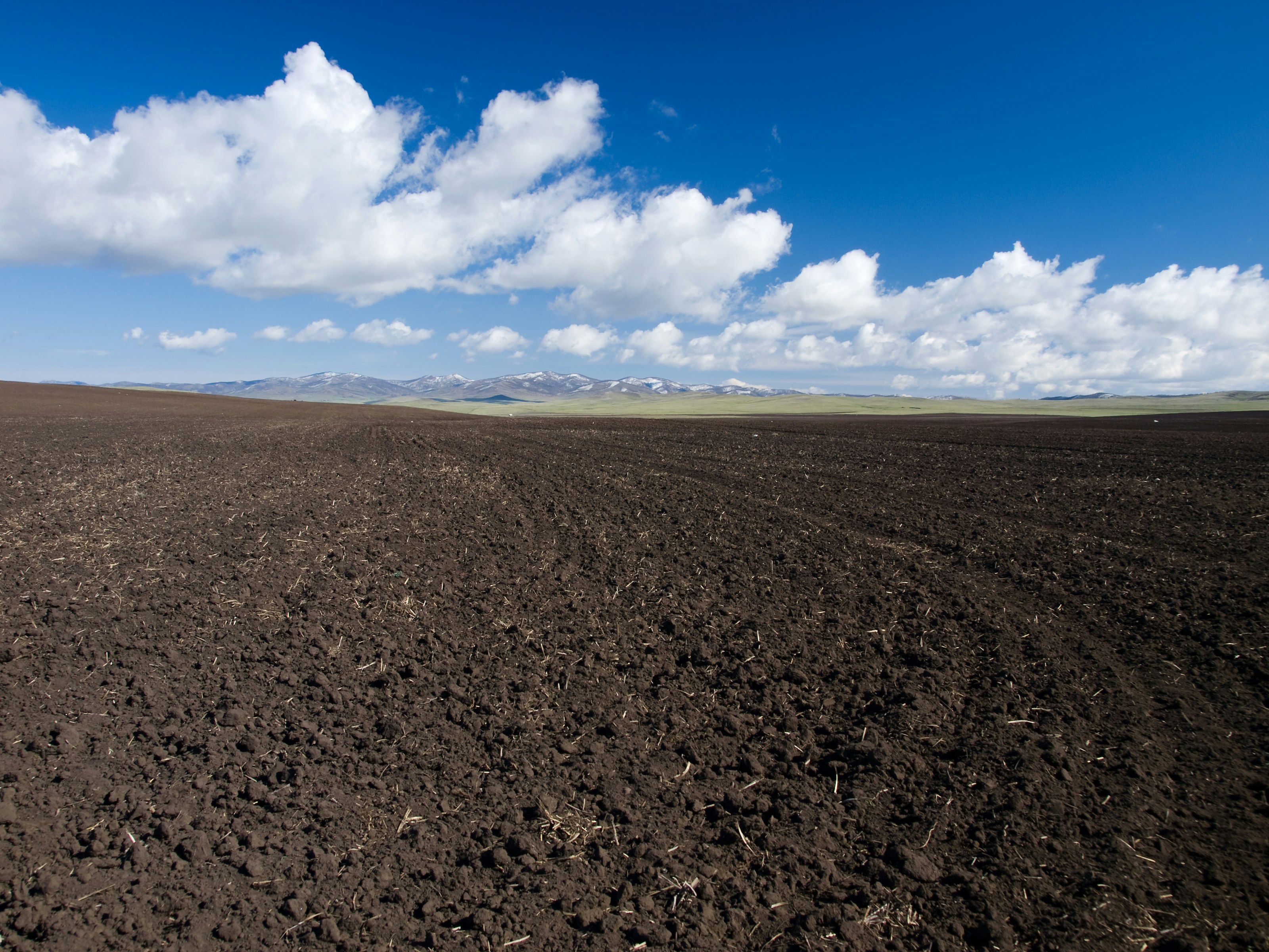 Nature Dependencies: The Missing Link in Physical Risk Assessment